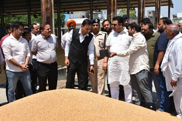 अनाज मंडी में मीटर में नमी देखते उपायुक्त डॉ. वीरेंद्र कुमार दहिया और पुलिस अधीक्षक भूपेंद्र सि