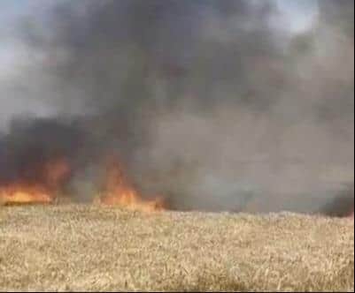 बंगवानानकार गांव के पूर्व खेत में लगी आग