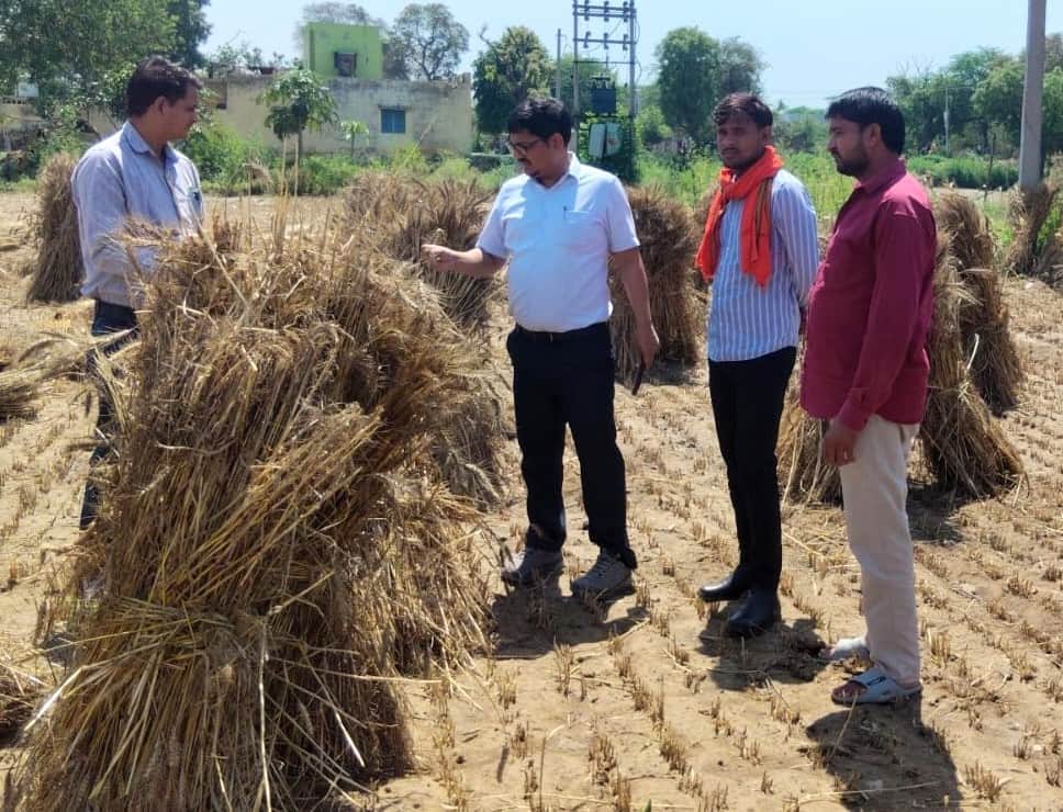 बिसावर में खेतों में घूमकर फसल का निरीक्षण करते एसडीएम मनीष चौधरी। स्रोत : स्वयं