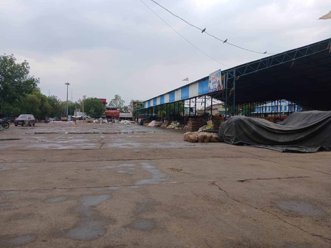 बूंदाबांदी के बीच खाली पड़ी मंडी। संवाद