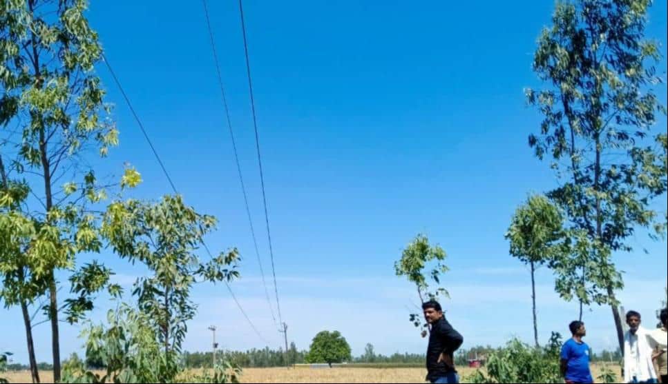 डांडेकुईयां गांव में खेत के ऊपर झूलते तार।