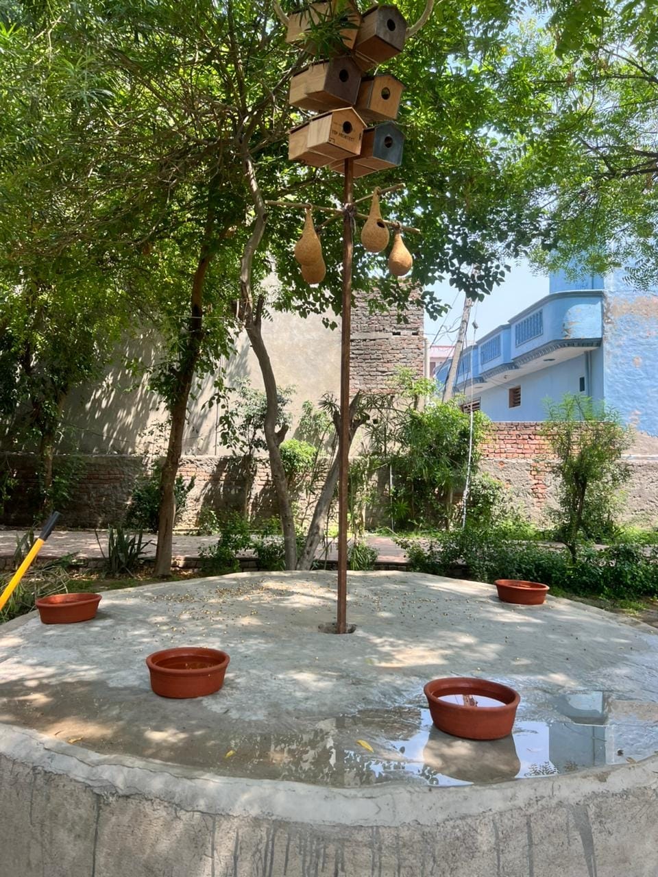 Arrangements made for nesting of birds in Veer Savarkar Park
