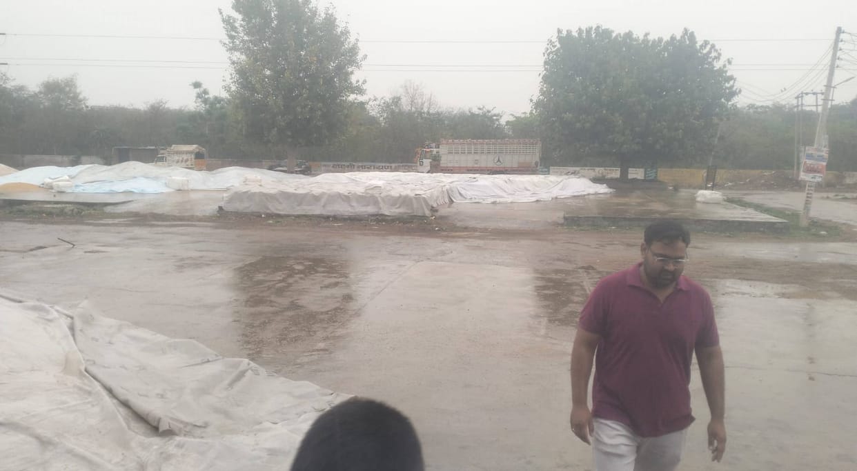 Drizzle increased the problems of farmers, the site did not work for two hours in Satnali Mandi.