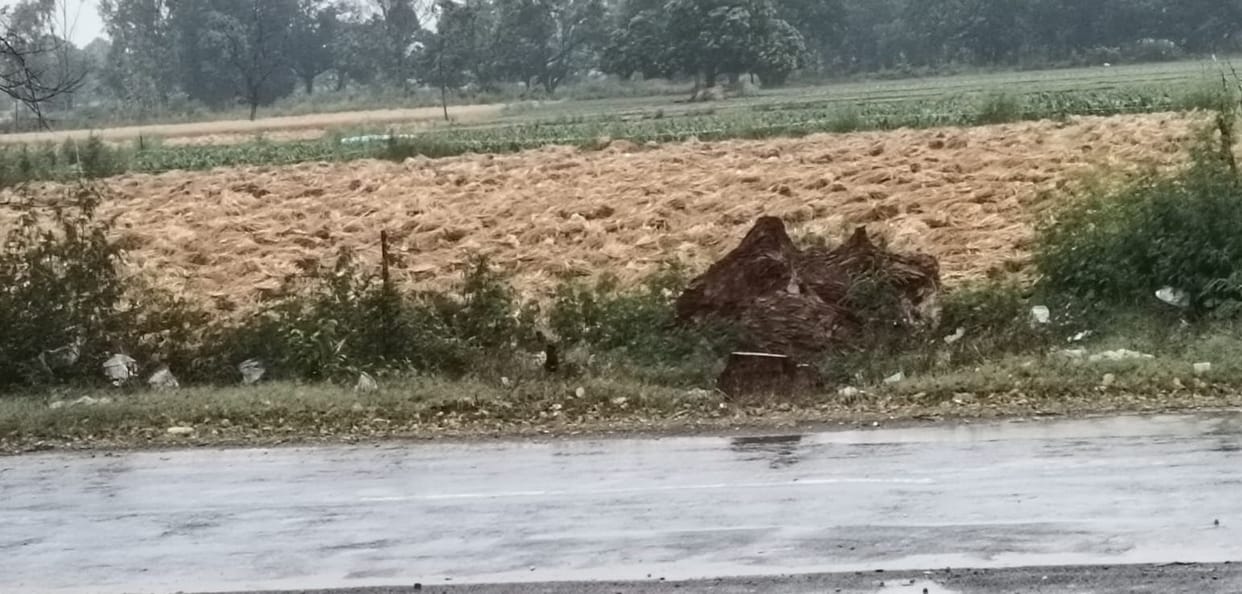 Storm and rain increase farmers' worries