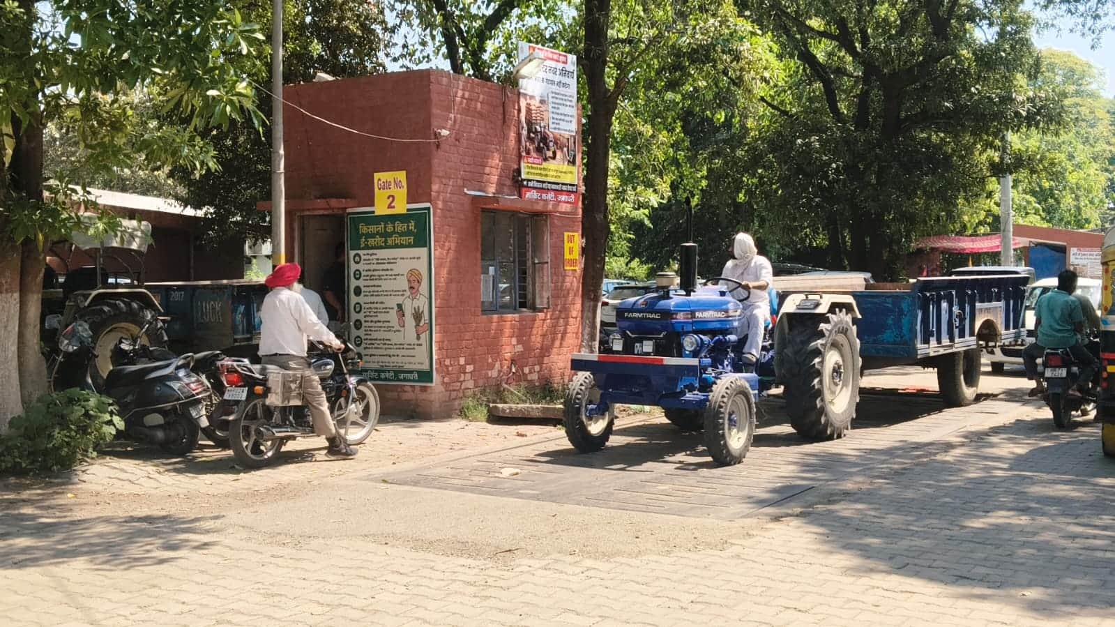 जगाधरी अनाज मंडी में कांटे पर तौलाई के लिए खड़ी ट्राली। संवाद