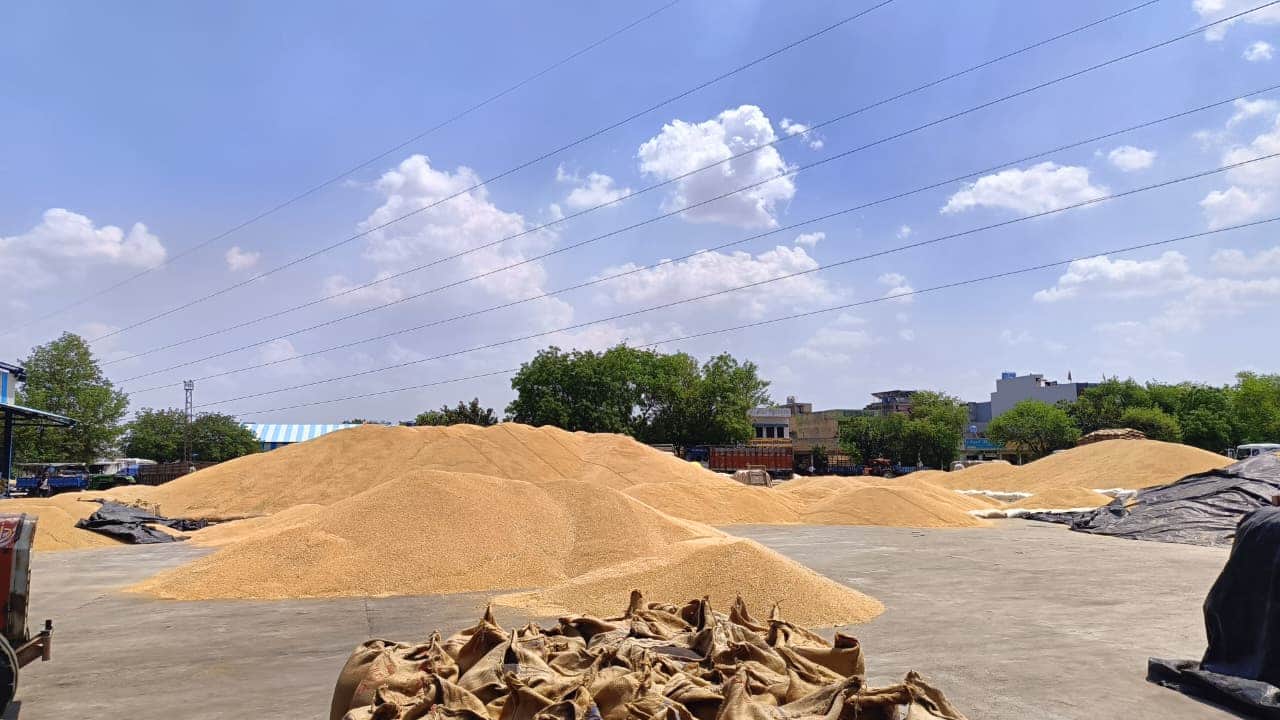 मंडी में लगी गेहूं की ढेरी।