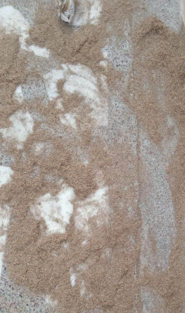 मेरी आवाज सुनो ----  शामली रेल पार  में घर की छत पर पड़ी मिल की छाई । संवाद