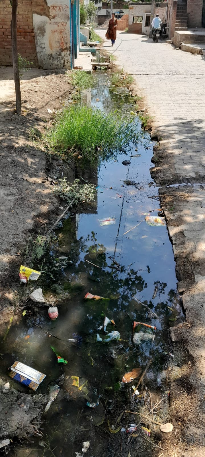 Piles of garbage in Bahungra village, villagers troubled by overflowing drains