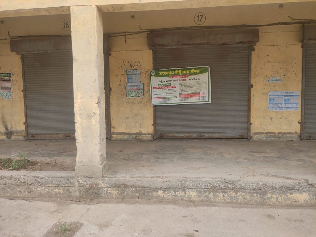 Due to non-operation of purchasing centers, farmers are selling wheat at throwaway prices in the market.