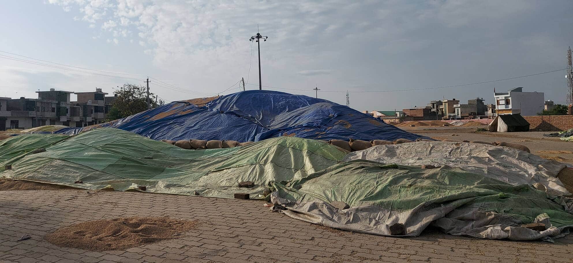 07जेएनडी30: नईं अनाज मेला मंडी में तिरपाल से ढके हुए गेहूं के ढेर। संवाद।