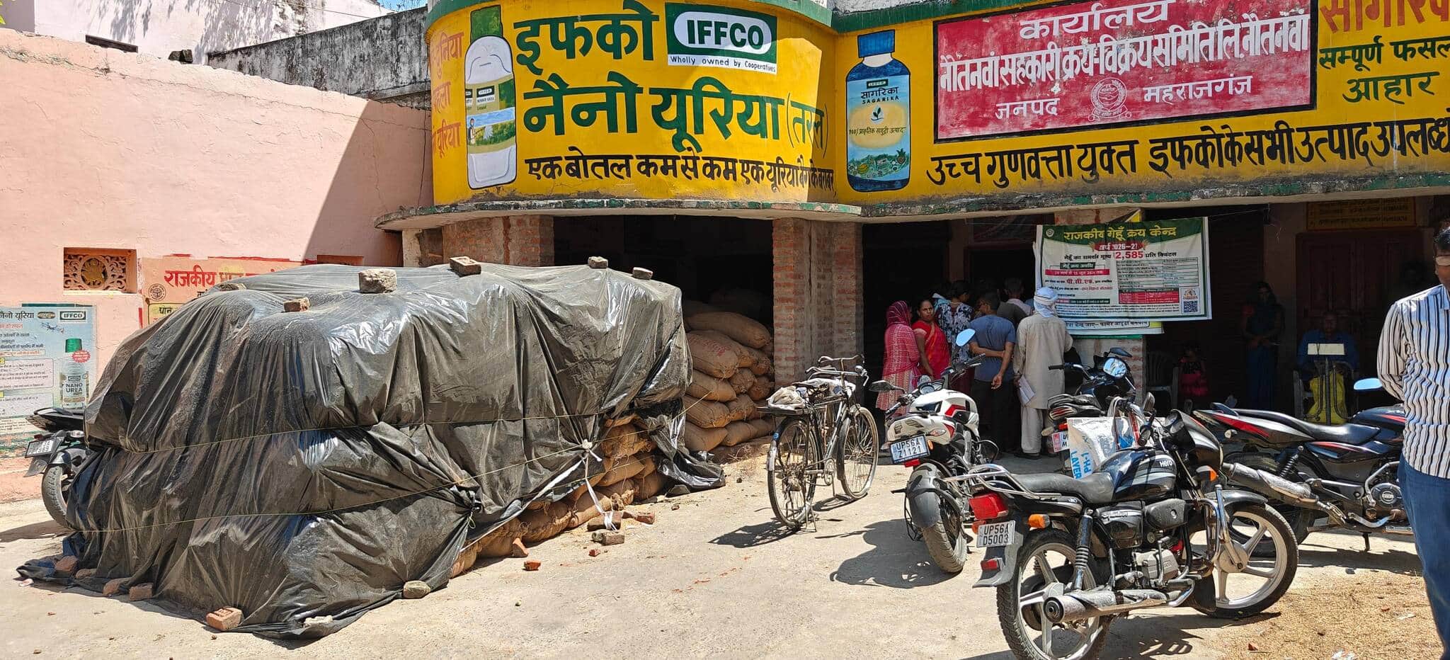 फोटो कैप्शन : नौतनवा स्थित क्रय केंद्र पर खरीद न होने के कारण खुले में रखा गेहूं।  