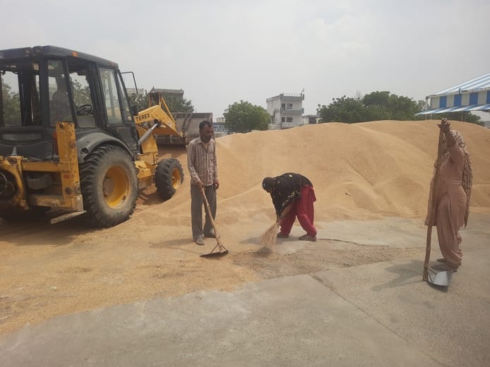 After the strike of the commission agents, gunny bags were found, filled with 21 thousand quintals of wheat.