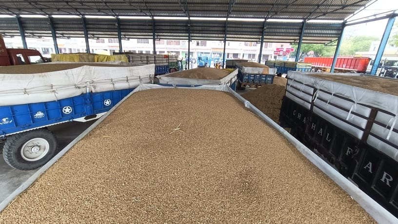 Wheat is not arriving in the market due to the strike of commission agents.
