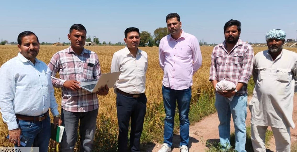 SDM reached the fields and conducted crop survey.