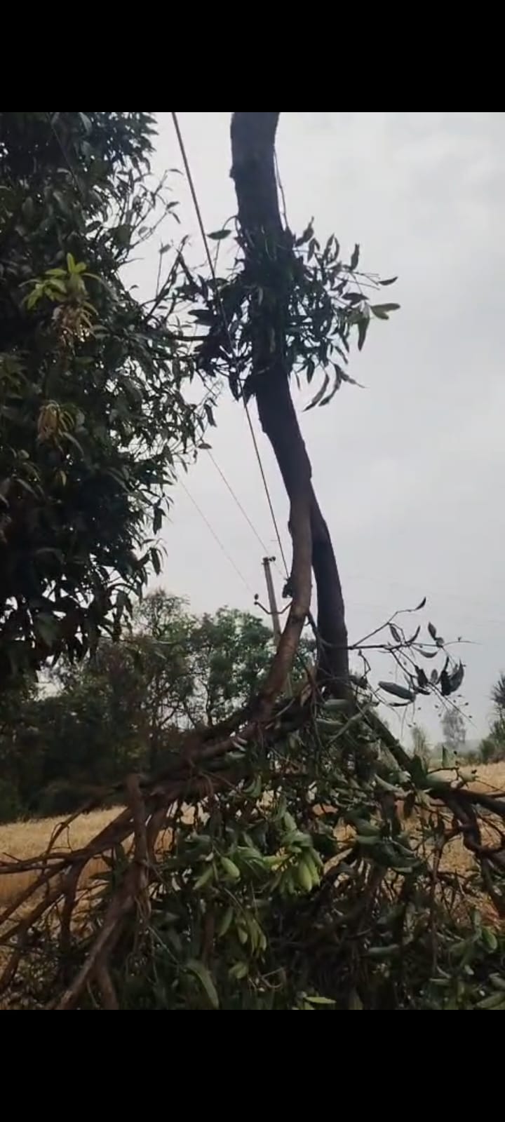 Power supply disrupted due to storm... drizzle increased concern