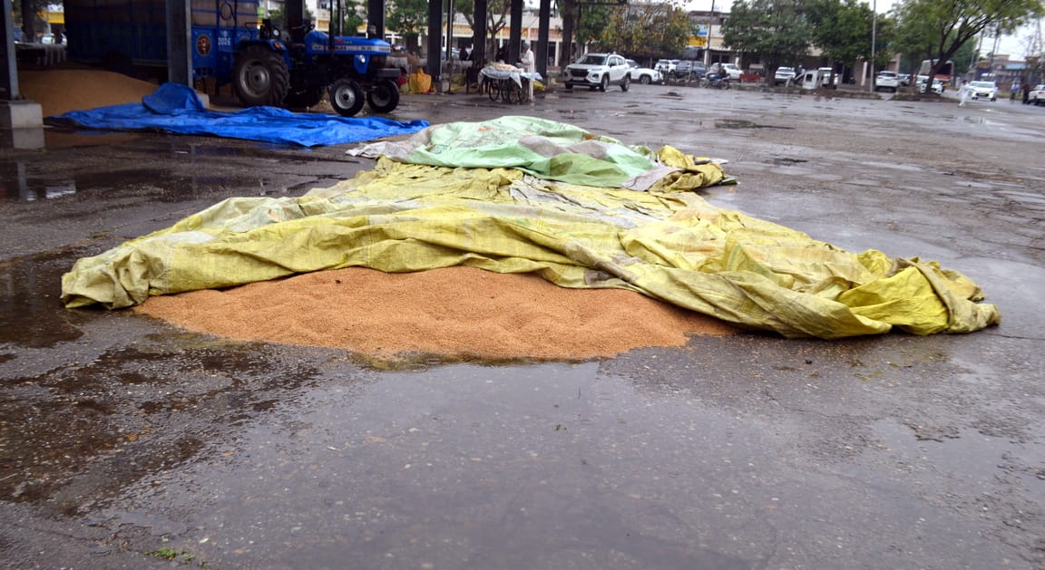 Rain has soaked claims in the markets, and labor-saving measures have been torn apart farmers are worried.