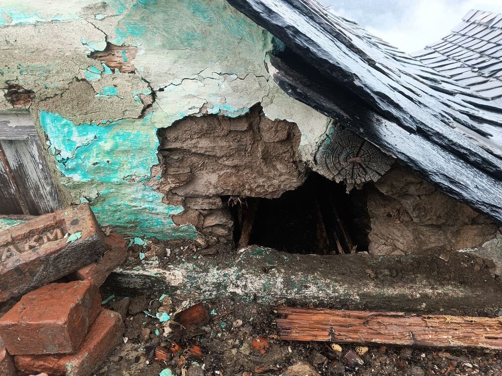 In Tikri village, a bear entered a house and destroyed a bee box