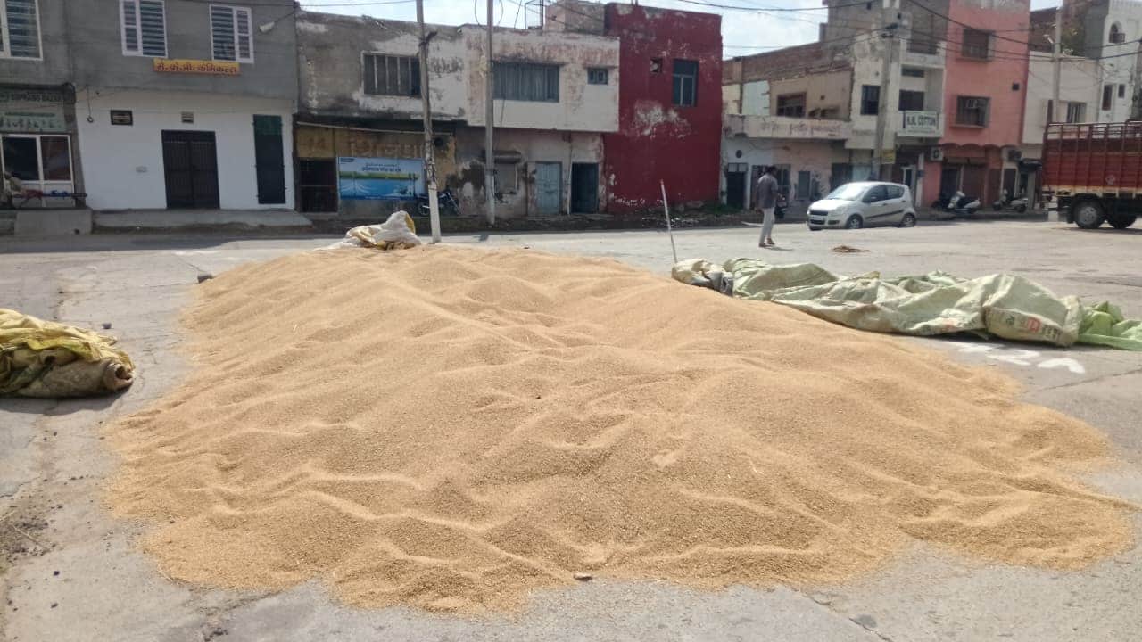 शहर की पुरानी अनाज मंडी में खुले आसमान के नीचे रखी गेहूं की ढेरी। संवाद