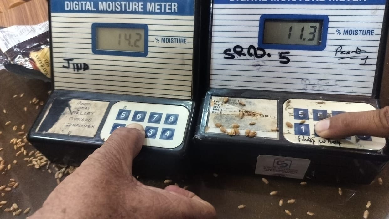 Shenanigans at the Market... Warehouse Reports 14.2% Moisture, Market Committee Claims 11.3%