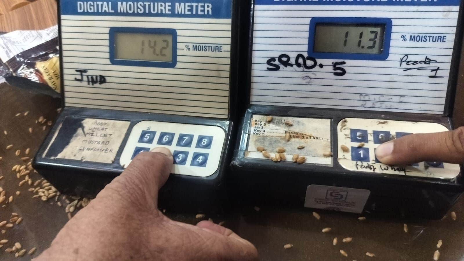 09जेएनडी08: मंडी में गेहूं की एक ढेरी के दो परिणाम दिखाते हुए वेयर हाउस व मार्केट कमेटी की मशीन