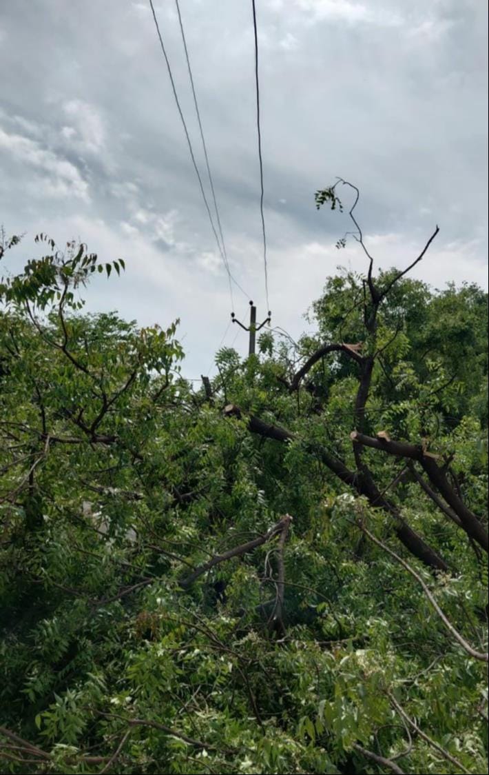 A storm damaged a pontoon bridge, toppled power poles, and knocked out electricity. A woman died after a wall collapsed.