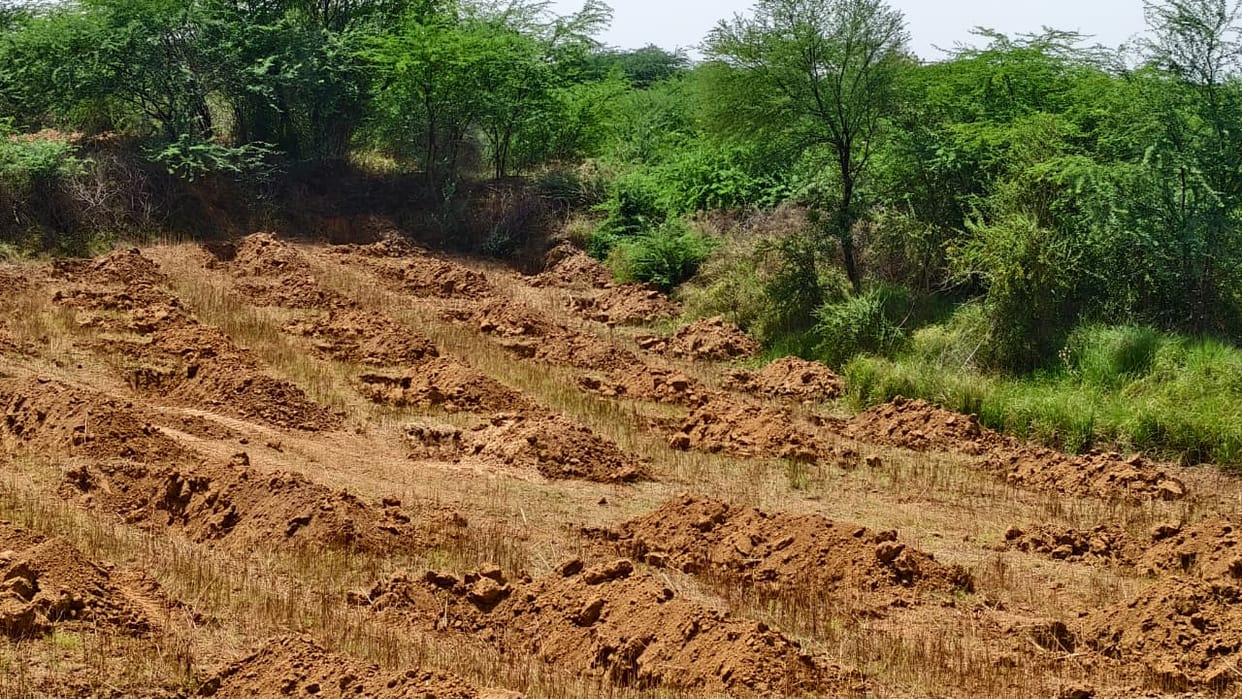Green Delhi: 673 hectares of Central Ridge gets reserved forest status
