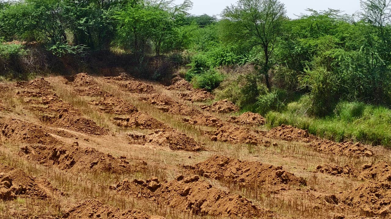 फोटो 08 एचएएमपी 10- खेतों में वन विभाग द्वारा खोदे गए गड्ढे। संवाद