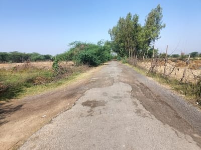 The asphalt of Kamalpur road was uprooted, bushes became a problem.
