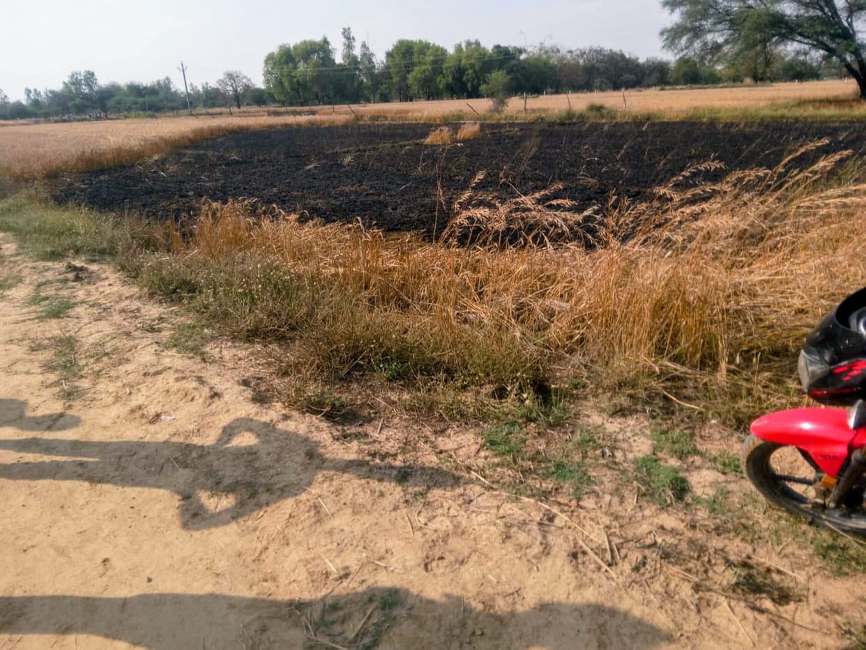 Fire broke out along the 11,000-line line, burning 25 bighas of crops belonging to three farmers.