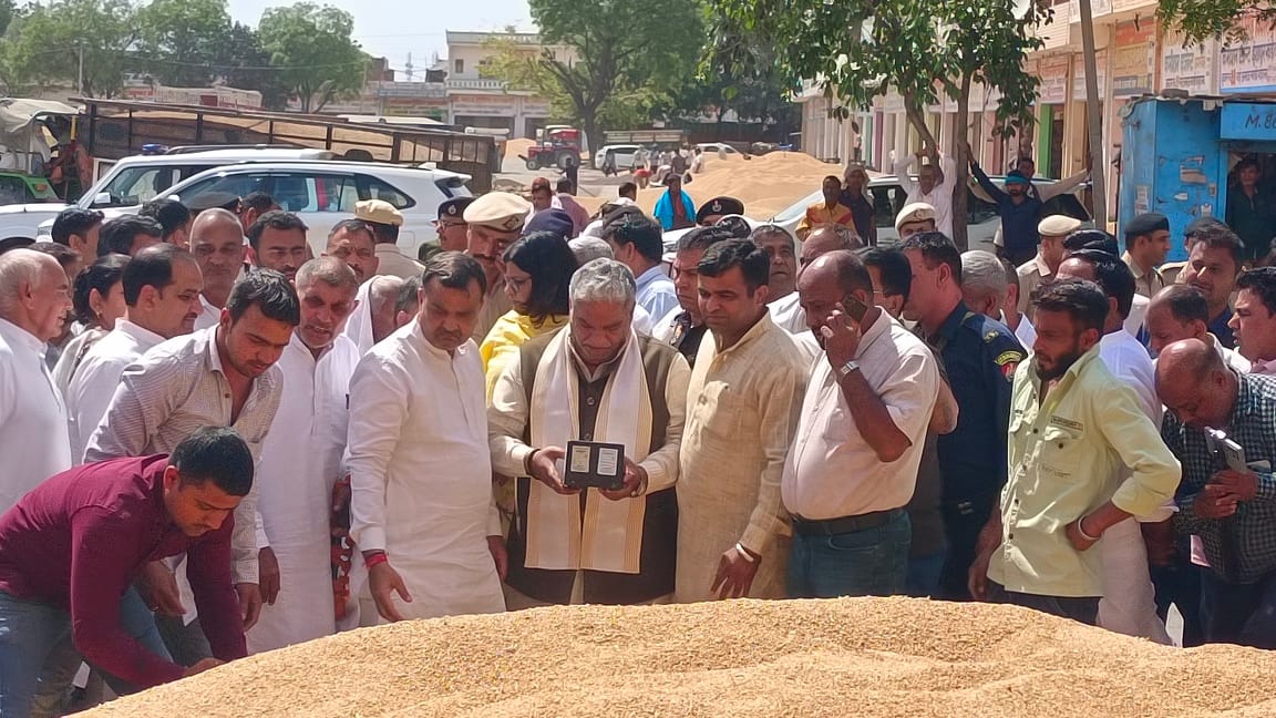 Wheat procurement should be done smoothly: Pawar