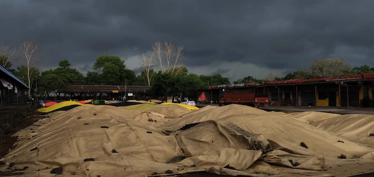 Rain accompanied by strong winds, hailstorm, damage to crops