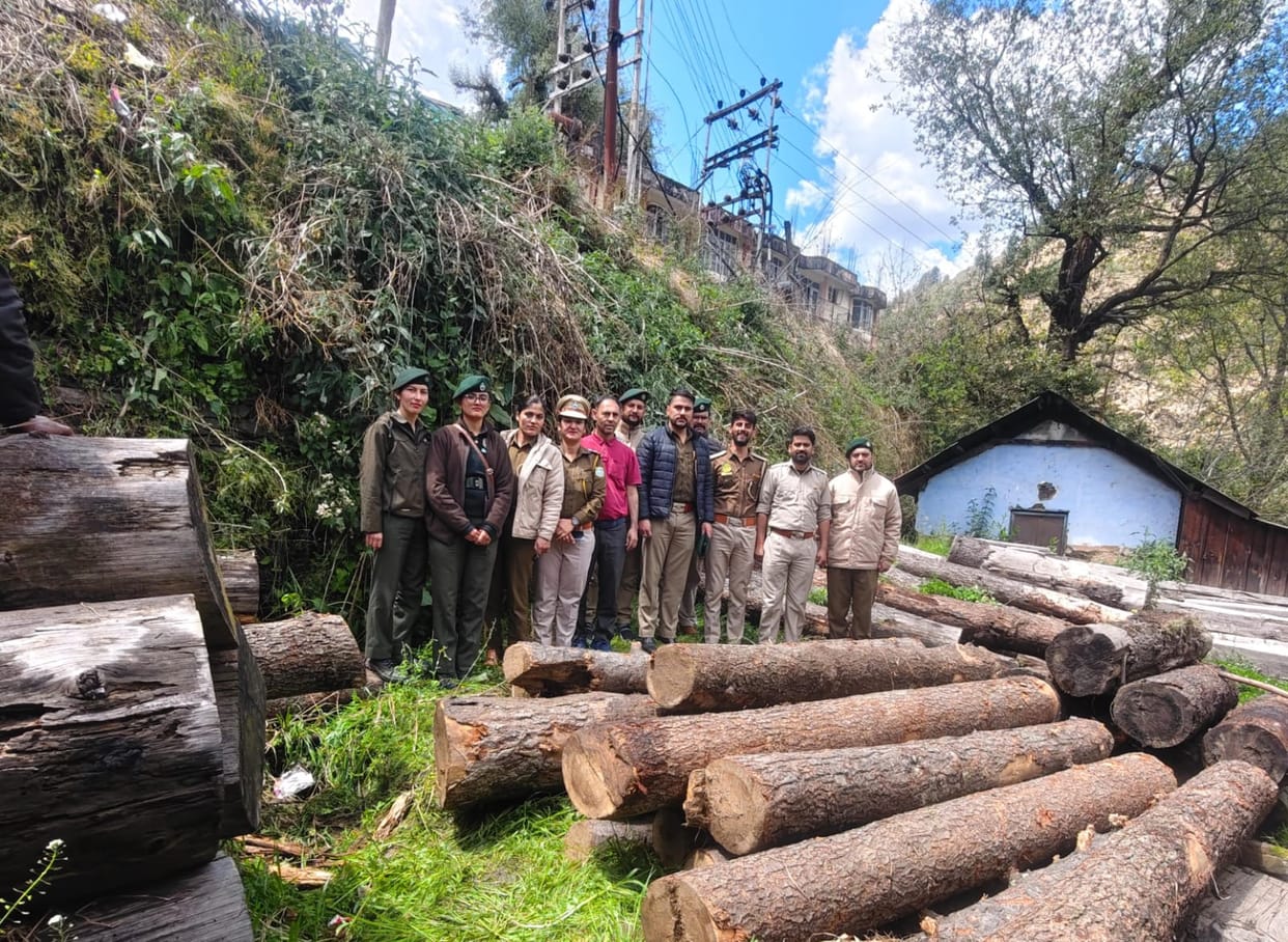 logs recovered from forest cut in Sari village, two lakh rupees fine collected