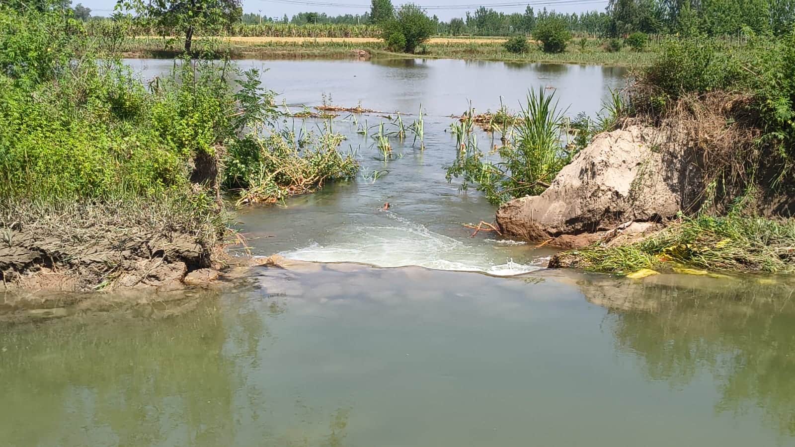 सरधना। गांव झिटकरी में रजबहे की पटरी टूटने से फसलें हुई जलमग्न। संवाद