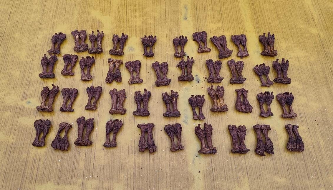 42 claws of Bilgoh recovered, three accused arrested