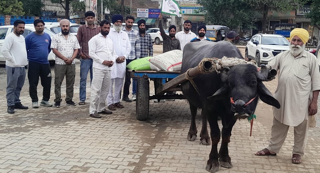 The gate pass of the farmer who came to sell wheat on a buggy was not cut.