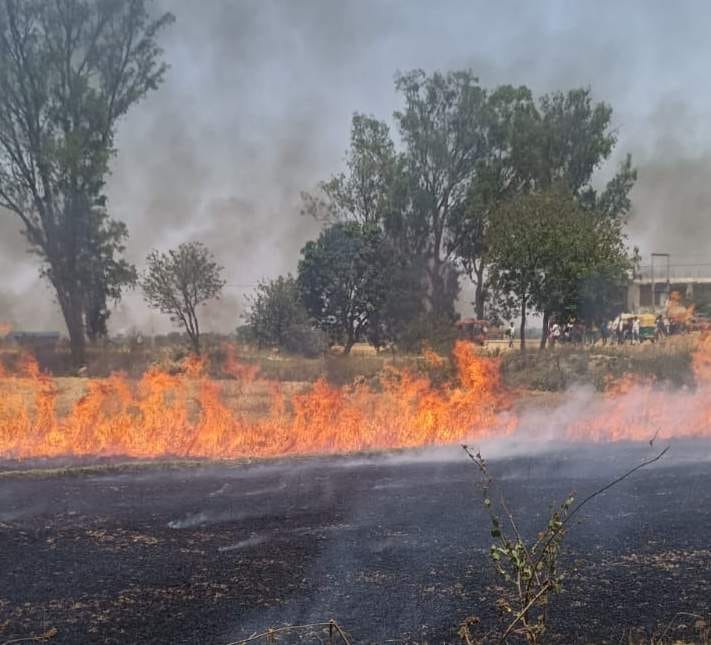 Fire breaks out in wheat crop in the fields of Pandepur.