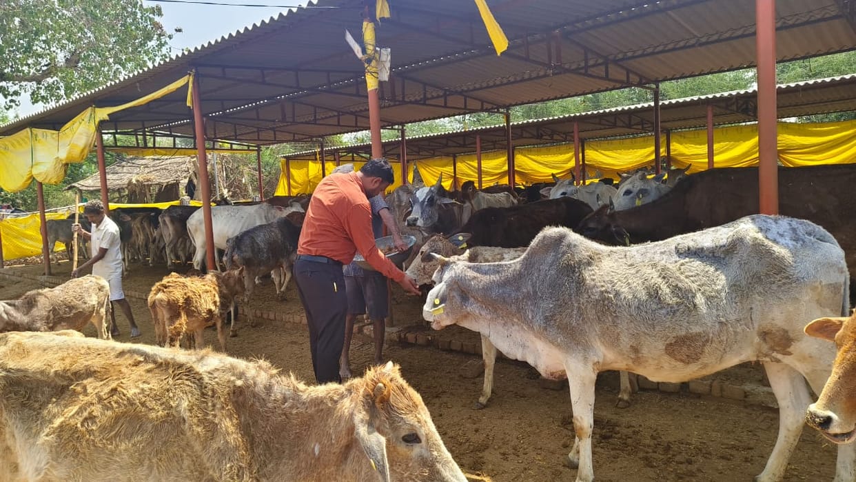 BDO inspected the cowshed and farmer registry
