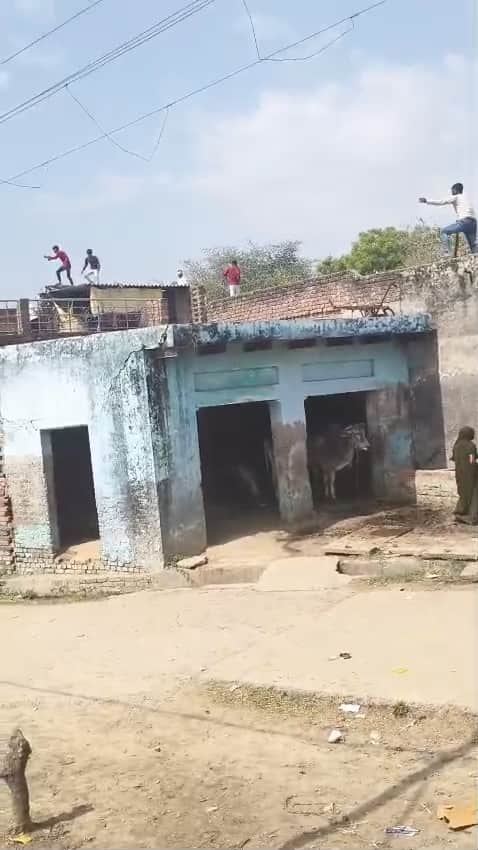 बरना गांव में मारपीट के दौरान छतों से पथराव करते लोग स्रोत वीडीयो ग्रेव