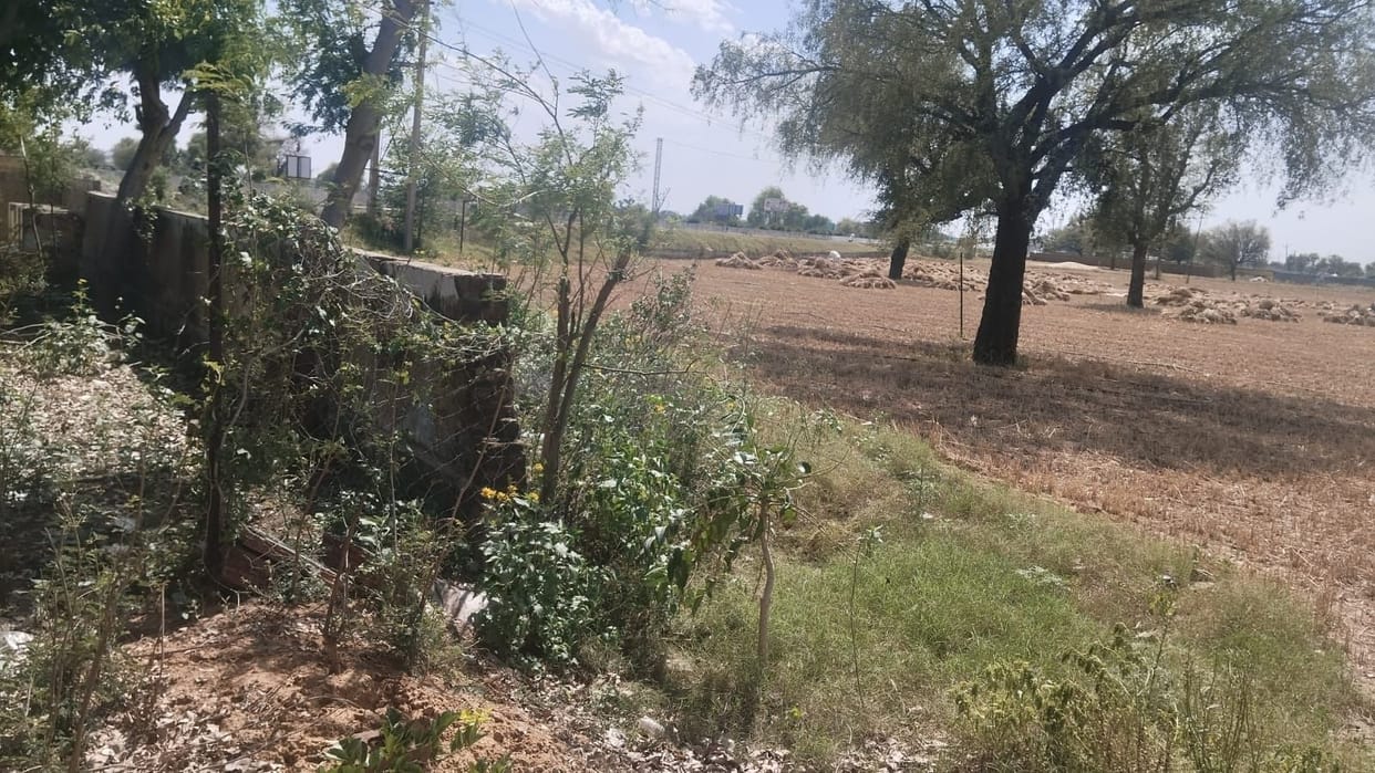 Incomplete Boundary Wall at Gokulpur School Becomes a Source of Trouble