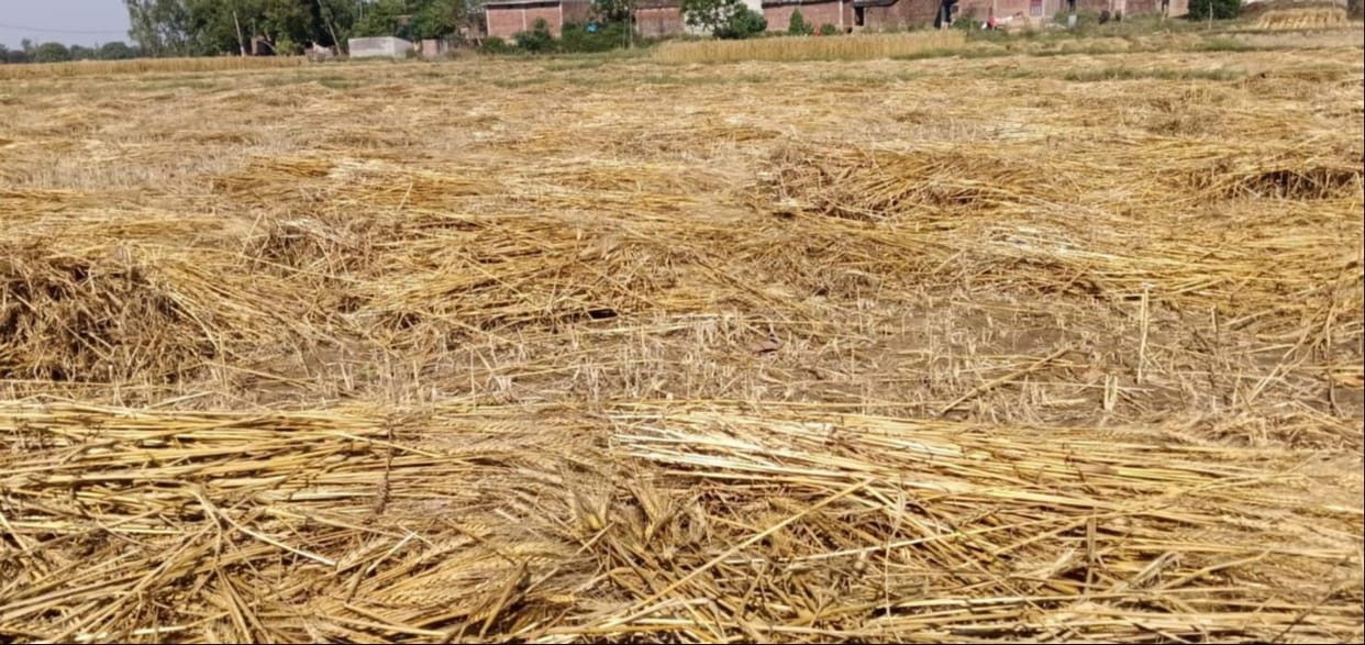 Anchor: Farmers busy drying crops when the sun comes out