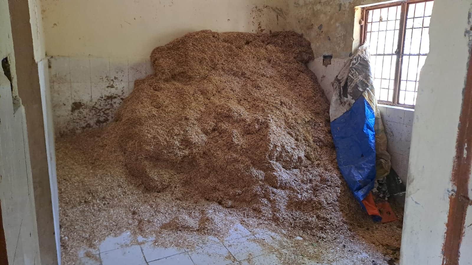 हेल्थ एंड वेलनेस सेंटर के कमरे में भरा भूसा। संवाद