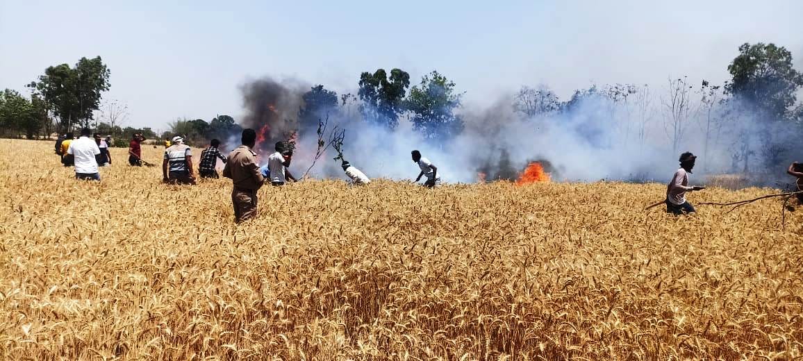 Fire Caused by Short Circuit; Wheat Crops Burnt at Two Locations