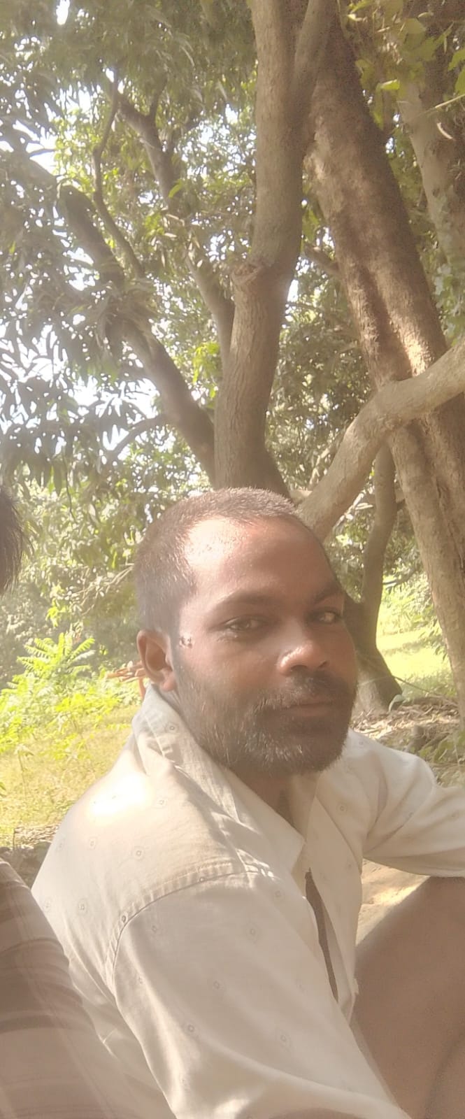 Worker's body found hanging from a tree, murder alleged