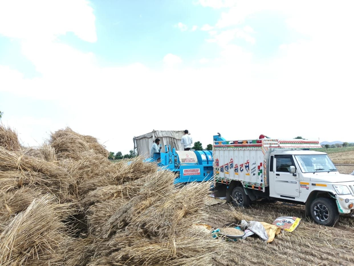 With the weather becoming dry and clear, the harvesting and embroidery work of Rabi crops has gained momentum