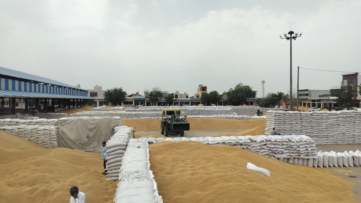 Seven lakh quintals of wheat were purchased