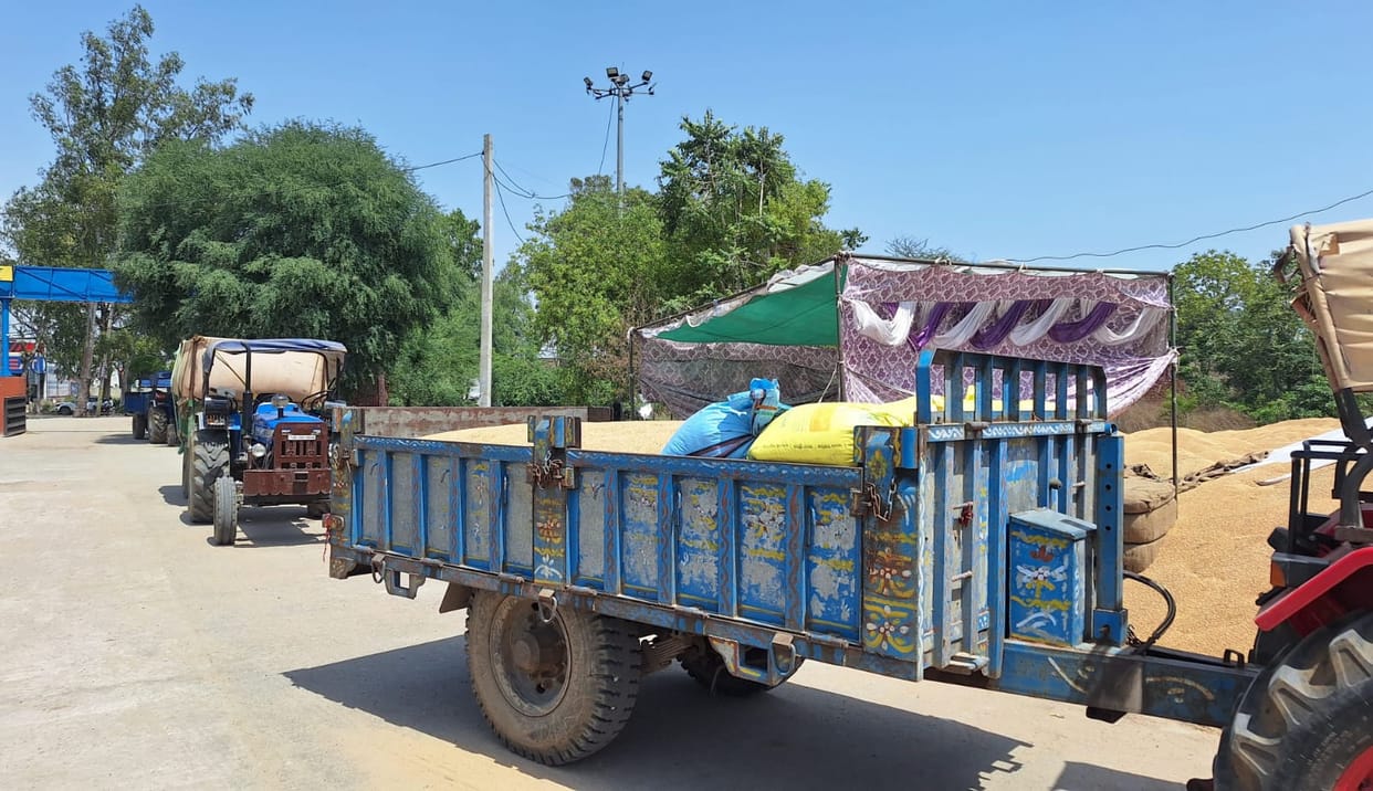 Procurement halted at Jatauli grain market, dispute over moisture measurement