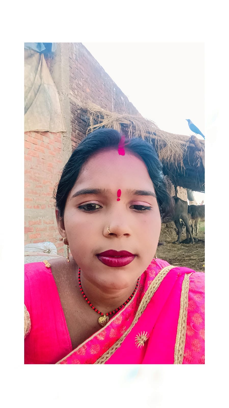 Pallu stuck in the axle of the thresher, woman dies after being hit six times