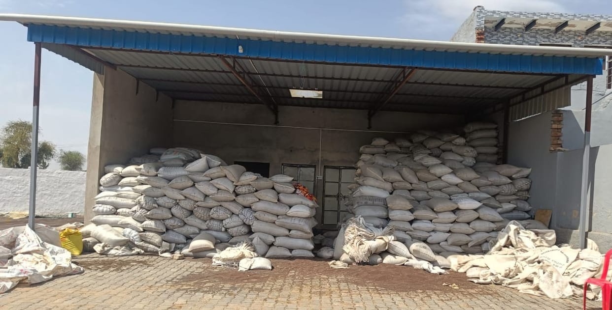 Illegal Stockpiling of Quintals of Wheat and Mustard Uncovered in Kanina