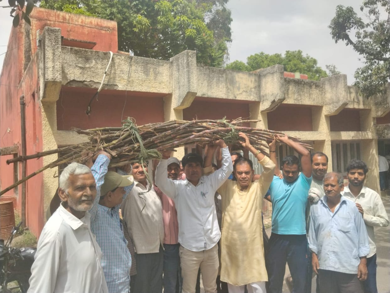 Casual workers expressed their anger by carrying bundles of sugarcane on their heads in the mill.