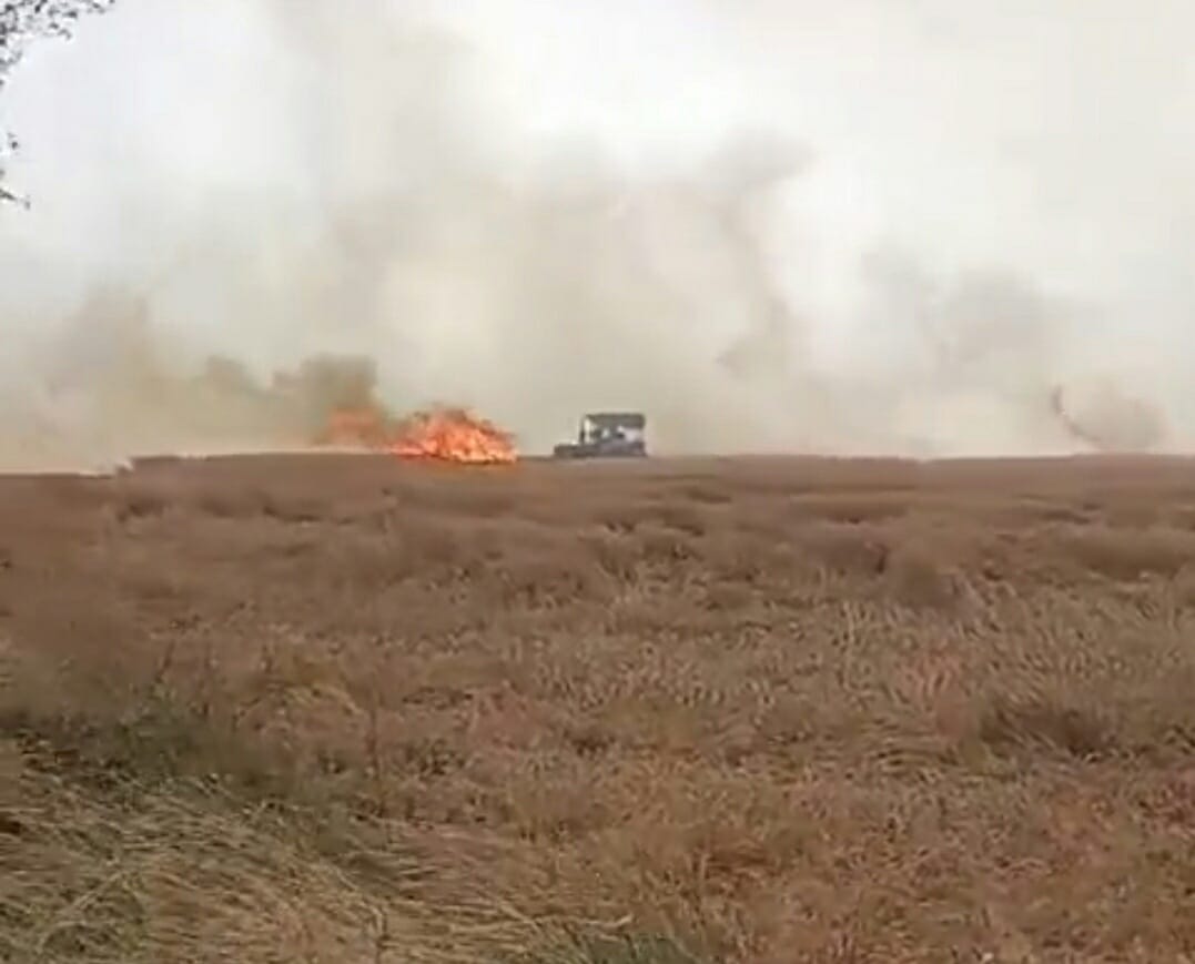 100 acres of wheat crop burnt to ashes in Buana Lakhu
